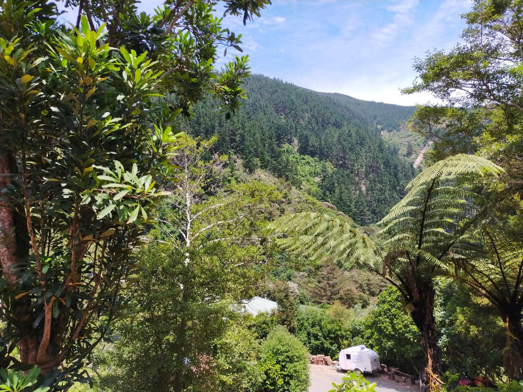 Maitai Whare Iti - Adventure Cabins & House Nelson Exterior foto